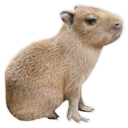 Dog 1